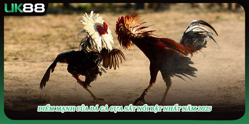 Điểm mạnh của đá gà cựa sắt nổi bật nhất năm 2025